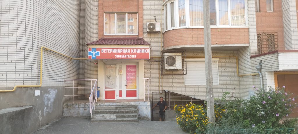 ветеринарная клиника, доктор фламинго темерник, ростов на дону , лелюшенко 13/1 ветеринарная клиника, доктор фламинго темерник, ростов на дону , лелюшенко 13/1