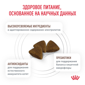 ветеринарная клиника, доктор фламинго темерник, ростов на дону , лелюшенко 13/1, Корм ROYAL CANIN сухой, диета для котят при нарушениях в пищеварении, в т.ч. при диарее