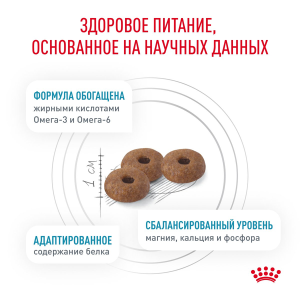 ветеринарная клиника, доктор фламинго темерник, ростов на дону , лелюшенко 13/1, Корм ROYAL CANIN сухой для кастрированных / стерилизованных котов и кошек с повышенной чувствительностью кожи