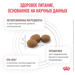 ветеринарная клиника, доктор фламинго темерник, ростов на дону , лелюшенко 13/1, Корм ROYAL CANIN сухой, диета с ограниченным содержанием жиров для взрослых собак весом менее 10 кг при нарушениях пищеварения