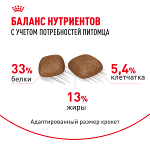 ветеринарная клиника, доктор фламинго темерник, ростов на дону , лелюшенко 13/1, Корм ROYAL CANIN сухой для профилактики мочекаменной болезни ветеринарная клиника, доктор фламинго темерник, ростов на дону , лелюшенко 13/1, Корм ROYAL CANIN сухой для профилактики мочекаменной болезни