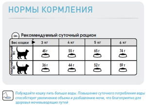 ветеринарная клиника, доктор фламинго темерник, ростов на дону , лелюшенко 13/1, Корм ROYAL CANIN сухой для профилактики мочекаменной болезни ветеринарная клиника, доктор фламинго темерник, ростов на дону , лелюшенко 13/1, Корм ROYAL CANIN сухой для профилактики мочекаменной болезни