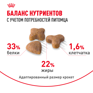 ветеринарная клиника, доктор фламинго темерник, ростов на дону , лелюшенко 13/1, Корм ROYAL CANIN  сухой для кошек с чувствительной пищеварительной системой в возрасте от 1 года до 7 лет