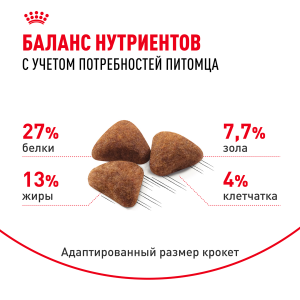 ветеринарная клиника, доктор фламинго темерник, ростов на дону , лелюшенко 13/1, Корм ROYAL CANIN сухой для кошек от 1 до 7 лет