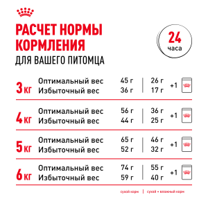 ветеринарная клиника, доктор фламинго темерник, ростов на дону , лелюшенко 13/1, Корм ROYAL CANIN сухой для кошек от 1 до 7 лет