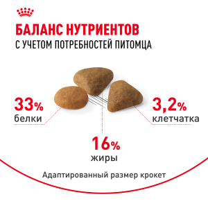 ветеринарная клиника, доктор фламинго темерник, ростов на дону , лелюшенко 13/1, Корм ROYAL CANIN сухой для кошек привередливых к вкусу продукта