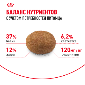 В ветеринарной клинике "Доктор Фламинго Темерник", в г.Ростове на Дону, всегда есть в наличии - Корм ROYAL CANIN сухой для стерилизованных кошек от 1 года до 7 лет