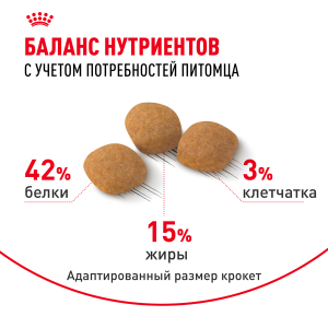 ветеринарная клиника, доктор фламинго темерник, ростов на дону , лелюшенко 13/1, Корм ROYAL CANIN сухой для кошек привередливых к составу продукта