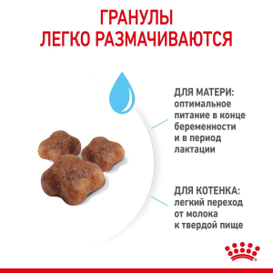 ветеринарная клиника, доктор фламинго темерник, ростов на дону , лелюшенко 13/1, Корм для кошек в период беременности и лактации и котят от 1 до 4 мес.