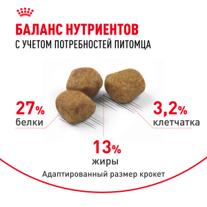 ветеринарная клиника, доктор фламинго темерник, ростов на дону , лелюшенко 13/1, Корм ROYAL CANIN сухой для пожилых кошек от 7 лет