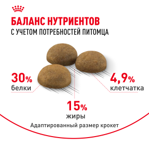 ветеринарная клиника, доктор фламинго темерник, ростов на дону , лелюшенко 13/1, Корм ROYAL CANIN сухой для длинношерстных кошек от 1 до 7 лет