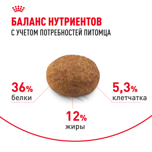 ветеринарная клиника, доктор фламинго темерник, ростов на дону , лелюшенко 13/1, Корм ROYAL CANIN сухой для стерилизованных кошек старше 7 лет ветеринарная клиника, доктор фламинго темерник, ростов на дону , лелюшенко 13/1, Корм ROYAL CANIN сухой для стерилизованных кошек старше 7 лет