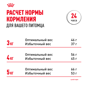 ветеринарная клиника, доктор фламинго темерник, ростов на дону , лелюшенко 13/1, Корм ROYAL CANIN сухой для стерилизованных кошек старше 7 лет ветеринарная клиника, доктор фламинго темерник, ростов на дону , лелюшенко 13/1, Корм ROYAL CANIN сухой для стерилизованных кошек старше 7 лет