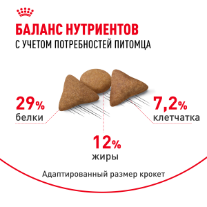 ветеринарная клиника, доктор фламинго темерник, ростов на дону , лелюшенко 13/1, Корм ROYAL CANIN сухой для кошек , склонных к перееданию от 1 до 7 лет ветеринарная клиника, доктор фламинго темерник, ростов на дону , лелюшенко 13/1, Корм ROYAL CANIN сухой для кошек , склонных к перееданию от 1 до 7 лет