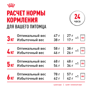 ветеринарная клиника, доктор фламинго темерник, ростов на дону , лелюшенко 13/1, Корм ROYAL CANIN сухой для кошек , склонных к перееданию от 1 до 7 лет ветеринарная клиника, доктор фламинго темерник, ростов на дону , лелюшенко 13/1, Корм ROYAL CANIN сухой для кошек , склонных к перееданию от 1 до 7 лет