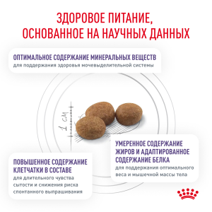 ветеринарная клиника, доктор фламинго темерник, ростов на дону , лелюшенко 13/1, Корм ROYAL CANIN сухой, лучшее диетологическое решение от Royal Canin для кастрированных/стерилизованных котов и кошек Улучшеная формула продукта в новой упаковке вместе Ньютрид Янг Мейл и Ньютрид Янг Фемейл ветеринарная клиника, доктор фламинго темерник, ростов на дону , лелюшенко 13/1, Корм ROYAL CANIN сухой, лучшее диетологическое решение от Royal Canin для кастрированных/стерилизованных котов и кошек Улучшеная формула продукта в новой упаковке вместе Ньютрид Янг Мейл и Ньютрид Янг Фемейл
