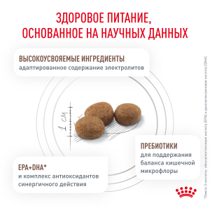 ветеринарная клиника, доктор фламинго темерник, ростов на дону , лелюшенко 13/1, Корм ROYAL CANIN сухой, диета для кошек с нарушениями пищеварения, вызванными в т.ч. волосяными комочками ветеринарная клиника, доктор фламинго темерник, ростов на дону , лелюшенко 13/1, Корм ROYAL CANIN сухой, диета для кошек с нарушениями пищеварения, вызванными в т.ч. волосяными комочками