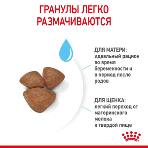 ветеринарная клиника, доктор фламинго темерник, ростов на дону , лелюшенко 13/1, Корм ROYAL CANIN сухой для щенков до 2-х месяцев, беременных и кормящих сук ветеринарная клиника, доктор фламинго темерник, ростов на дону , лелюшенко 13/1, Корм ROYAL CANIN сухой для щенков до 2-х месяцев, беременных и кормящих сук