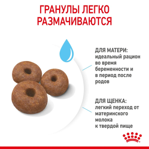 ветеринарная клиника, доктор фламинго темерник, ростов на дону , лелюшенко 13/1, Корм ROYAL CANIN сухой для щенков до 2-х месяцев, беременных и кормящих сук ветеринарная клиника, доктор фламинго темерник, ростов на дону , лелюшенко 13/1, Корм ROYAL CANIN сухой для щенков до 2-х месяцев, беременных и кормящих сук