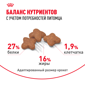 ветеринарная клиника, доктор фламинго темерник, ростов на дону , лелюшенко 13/1, Корм ROYAL CANIN сухой для собак с 10 месяцев до 8 лет ветеринарная клиника, доктор фламинго темерник, ростов на дону , лелюшенко 13/1, Корм ROYAL CANIN сухой для собак с 10 месяцев до 8 лет