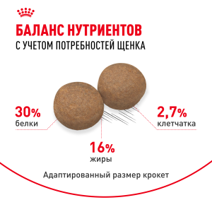 ветеринарная клиника, доктор фламинго темерник, ростов на дону , лелюшенко 13/1, Корм ROYAL CANIN сухой для щенков с 2 до 15 месяцев ветеринарная клиника, доктор фламинго темерник, ростов на дону , лелюшенко 13/1, Корм ROYAL CANIN сухой для щенков с 2 до 15 месяцев