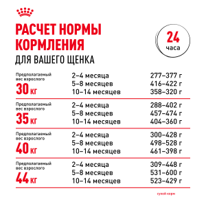 ветеринарная клиника, доктор фламинго темерник, ростов на дону , лелюшенко 13/1, Корм ROYAL CANIN сухой для щенков с 2 до 15 месяцев ветеринарная клиника, доктор фламинго темерник, ростов на дону , лелюшенко 13/1, Корм ROYAL CANIN сухой для щенков с 2 до 15 месяцев