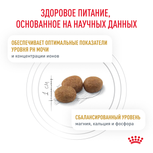 ветеринарная клиника, доктор фламинго темерник, ростов на дону , лелюшенко 13/1, Корм ROYAL CANIN сухой, диета для кошек при мочекаменной болезни ветеринарная клиника, доктор фламинго темерник, ростов на дону , лелюшенко 13/1, Корм ROYAL CANIN сухой, диета для кошек при мочекаменной болезни