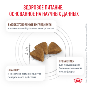 ветеринарная клиника, доктор фламинго темерник, ростов на дону , лелюшенко 13/1, Корм ROYAL CANIN сухой, диета для кошек при нарушении пищеварения ветеринарная клиника, доктор фламинго темерник, ростов на дону , лелюшенко 13/1, Корм ROYAL CANIN сухой, диета для кошек при нарушении пищеварения