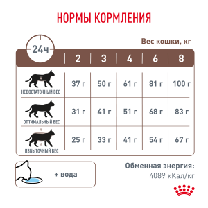 ветеринарная клиника, доктор фламинго темерник, ростов на дону , лелюшенко 13/1, Корм ROYAL CANIN сухой, диета для кошек при нарушении пищеварения ветеринарная клиника, доктор фламинго темерник, ростов на дону , лелюшенко 13/1, Корм ROYAL CANIN сухой, диета для кошек при нарушении пищеварения