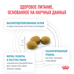ветеринарная клиника, доктор фламинго темерник, ростов на дону , лелюшенко 13/1, Корм ROYAL CANIN сухой, диета для собак менее 10 кг с пищевой аллергией или непереносимостью ветеринарная клиника, доктор фламинго темерник, ростов на дону , лелюшенко 13/1, Корм ROYAL CANIN сухой, диета для собак менее 10 кг с пищевой аллергией или непереносимостью