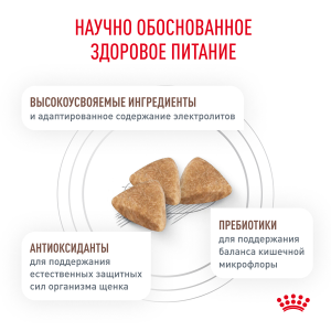 ветеринарная клиника, доктор фламинго темерник, ростов на дону , лелюшенко 13/1, Корм ROYAL CANIN сухой, диета для щенков до 1 года при нарушениях пищеварения