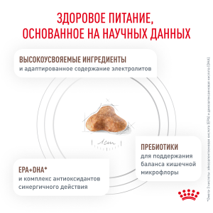 ветеринарная клиника, доктор фламинго темерник, ростов на дону , лелюшенко 13/1, Корм ROYAL CANIN сухой, диета для кошек при нарушении пищеварения