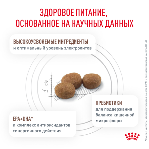 ветеринарная клиника, доктор фламинго темерник, ростов на дону , лелюшенко 13/1, Корм ROYAL CANIN сухой, диета для кошек при нарушении пищеварения
