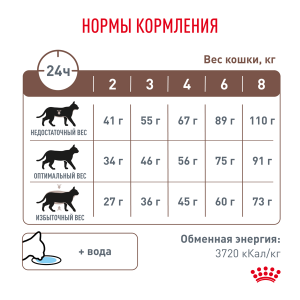ветеринарная клиника, доктор фламинго темерник, ростов на дону , лелюшенко 13/1, Корм ROYAL CANIN сухой, диета для кошек при нарушении пищеварения