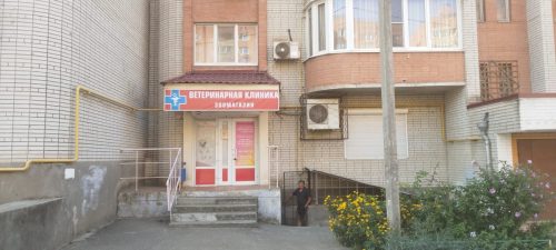 вход в ветеринарная клиника, доктор фламинго темерник, ростов на дону , лелюшенко 13/1, 